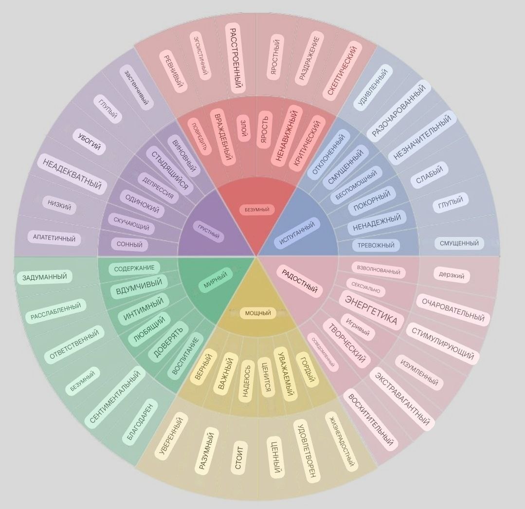 The Feeling Wheel.Willcox,G _ru
